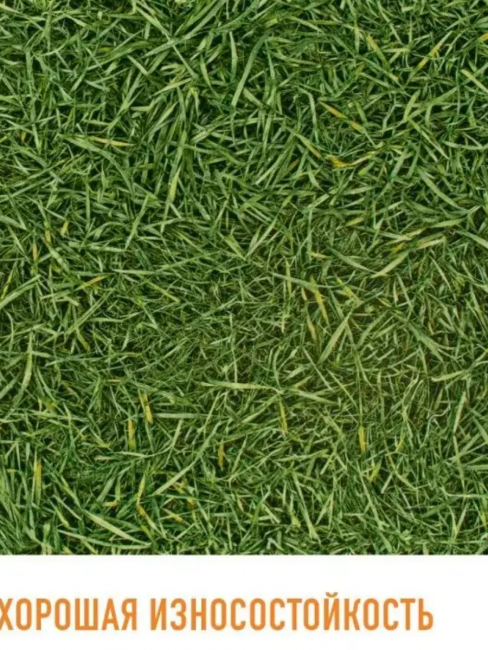 Линолеум бытовой Бинго Грасс 025