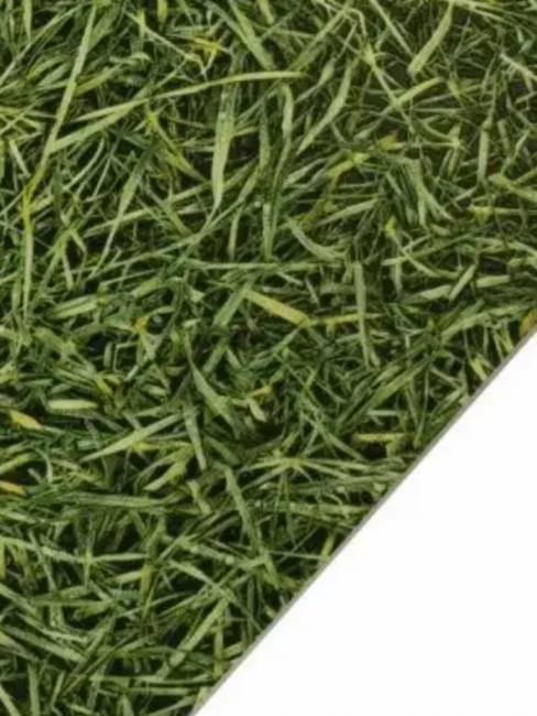 Линолеум бытовой Бинго Грасс 025