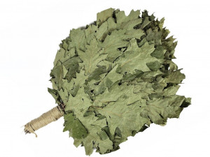 Веник для бани Дуб Канадский