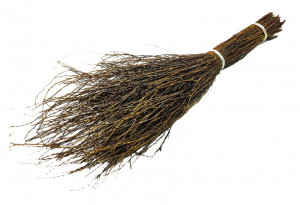 Веник Чилиговый