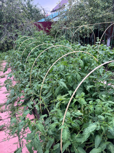 Колышки композитные для подвязки растений, 20шт в упаковке, Ø8мм