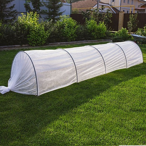 Парник 3м Базовый